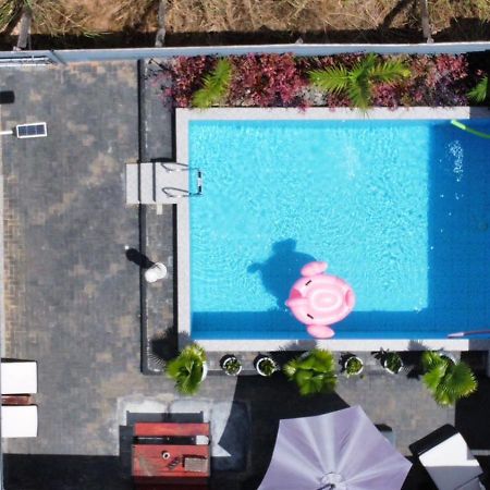 Tropical Appartement Парамарибо Екстериор снимка